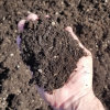 blain_stumpf_rock,_sand_%26_gravel017005.jpg
