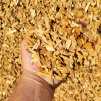 blain_stumpf_rock,_sand_%26_gravel017006.jpg