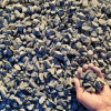 blain_stumpf_rock,_sand_%26_gravel017009.jpg
