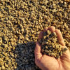 blain_stumpf_rock,_sand_%26_gravel017012.jpg