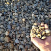 blain_stumpf_rock,_sand_%26_gravel017013.jpg