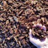 blain_stumpf_rock,_sand_%26_gravel017016.jpg