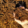 blain_stumpf_rock,_sand_%26_gravel017019.jpg