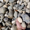blain_stumpf_rock,_sand_%26_gravel017021.jpg
