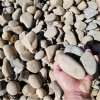 blain_stumpf_rock,_sand_%26_gravel017023.jpg