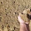 blain_stumpf_rock,_sand_%26_gravel017026.jpg