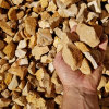 blain_stumpf_rock,_sand_%26_gravel017032.jpg