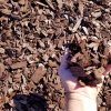 blain_stumpf_rock,_sand_%26_gravel017036.jpg