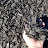 blain_stumpf_rock,_sand_%26_gravel017037.jpg